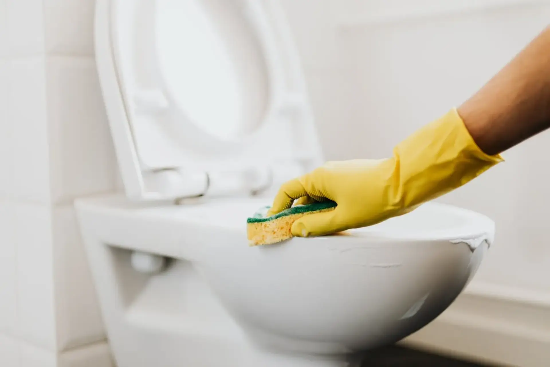 Janitorial Service